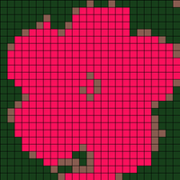 Copy of fiori.jpg