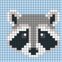 Copy of raccoon Saana
