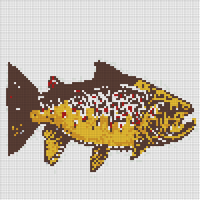 Brown-Trout-Artwork-by-Jeff-Currier1.jpg