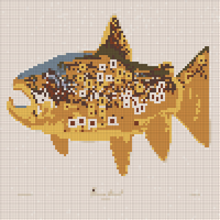 128_browntrout_24_2048x.jpg.webp