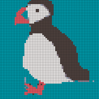 puffin018.jpg