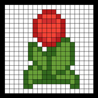 tulip