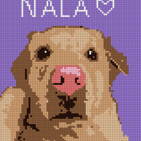 nala.jpg