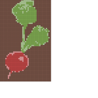 radish