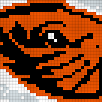 beaver