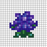 Crocus