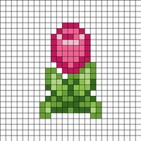 Tulip