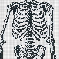torso