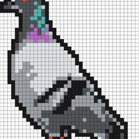 Copy of Copy of Copy of pigeon wout back.jpg