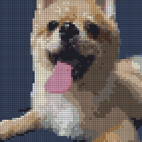 4A3E5EBE-135F-4E95-9E60-03AEF41E4468.jpeg