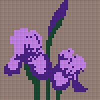 irises.jpeg