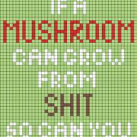 Pillow shroom quote