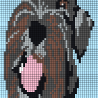 Schnauzer dog