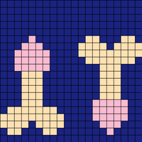 Penis