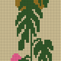 monstera.jpeg