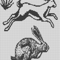 Copy of Jumping Hare