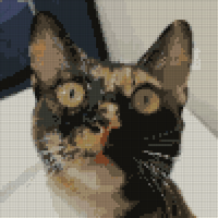 KakaoTalk_20240808_172017052.jpg