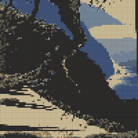 beach tree.jpeg