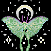 Moth