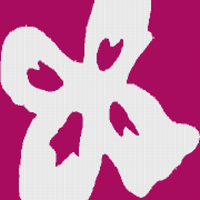 flor esp.png