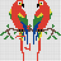 Copy of Parrots