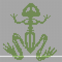 Copy of frog skeleton