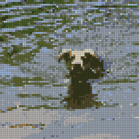 IMG_5984.JPEG