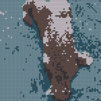 20240202_104737.jpg
