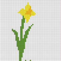 daffodil