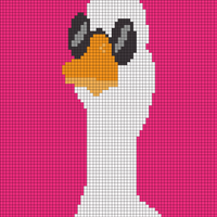 Chill duck.jpeg