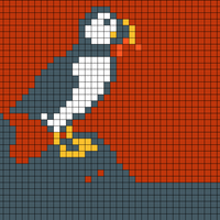puffin