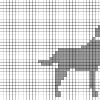 Labrador