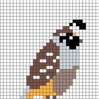 Copy of California Quail