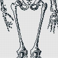 pelvis