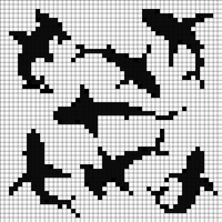 IMG_5709.jpeg