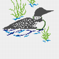 Loon in water