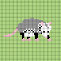 Possum