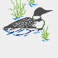 Copy of Loon in water
