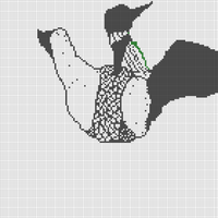 Loon flapping DRAFT
