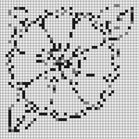 IMG_2944.jpeg