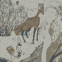 IMG_1646.jpeg