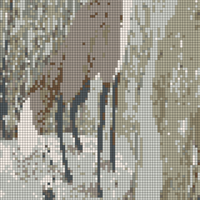 IMG_1646.jpeg