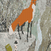 IMG_1646.jpeg