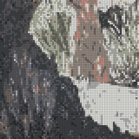 IMG_1649.jpeg