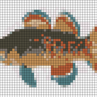 redfin-darter.jpg
