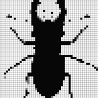 IMG_3766.jpeg