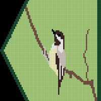 Backup of Black Capped Chickadee Attempt 1