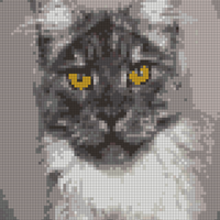 zelda headshot edit.JPG