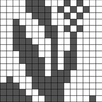Copy of Black Pepper