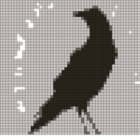 MPLS CITY crow